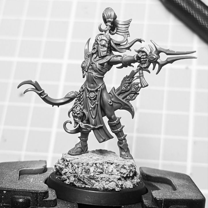The Champion from a Hedonites of Slaanesh Blissbarb Archer unit